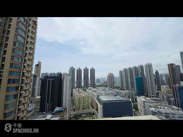 Tai Kok Tsui - Park Ivy 10