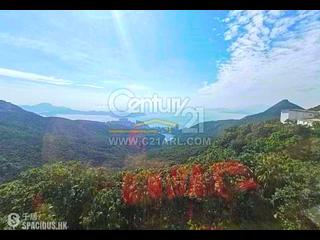 The Peak - The Mount Austin 03