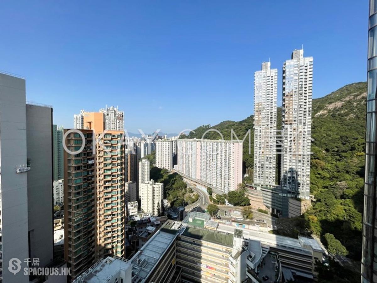 大坑 - 龙园 01