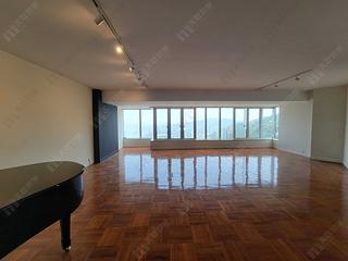 Mid Levels Central - Tregunter Tower 3 14