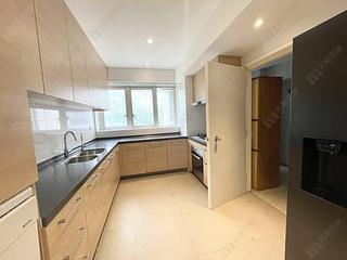 Mid Levels Central - Tregunter Tower 3 27