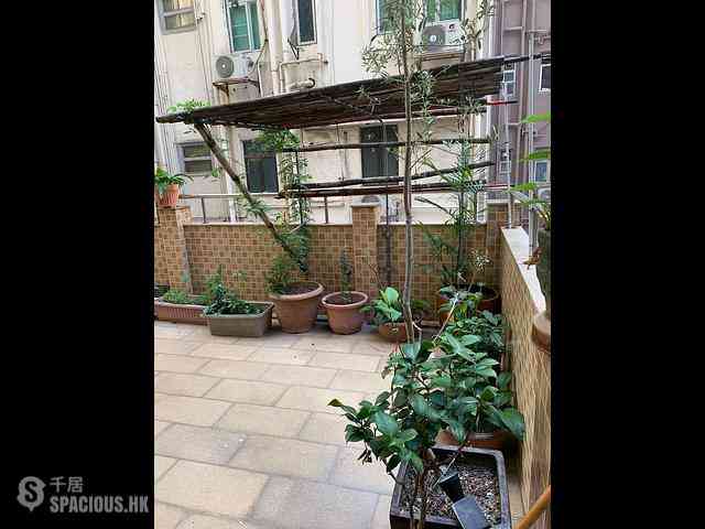 Sai Ying Pun - Lap Poon Building 18