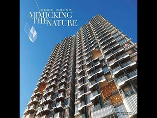 Cheung Sha Wan - The Paddington 06