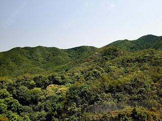 Tai Tam - Hong Kong Parkview 14