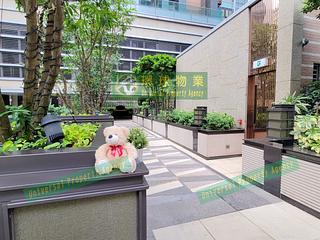 Kennedy Town - Imperial Kennedy 24