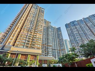 Tung Chung - The Visionary Tower 8 18