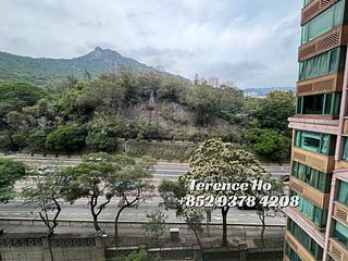 Beacon Hill - Peninsula Heights 14
