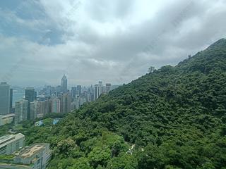 東半山 - Bowen's Lookout 08
