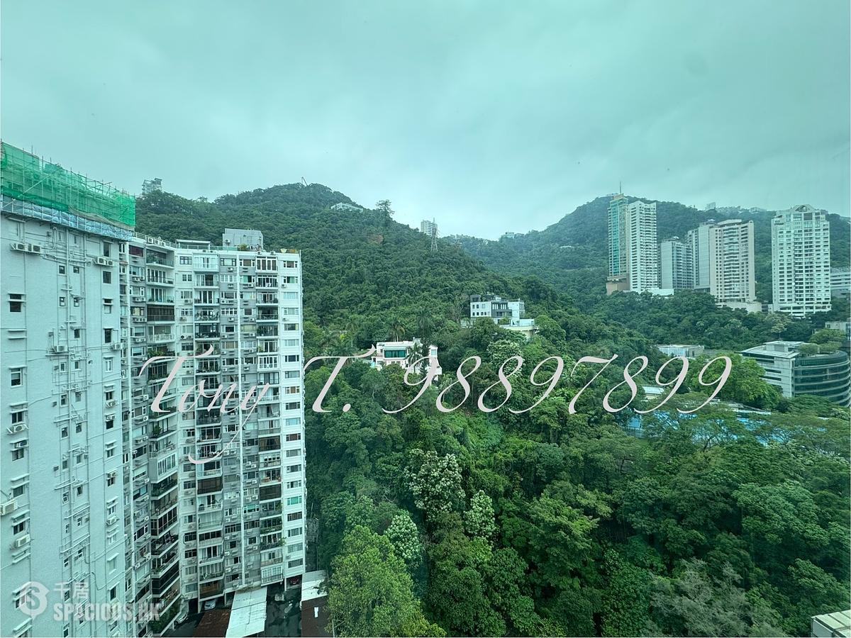 Wan Chai - Royal Court 01