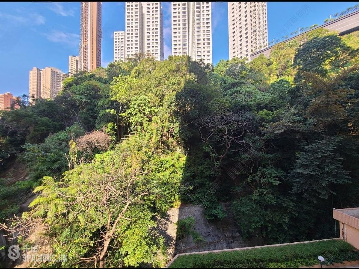跑馬地 - 金山花園 01