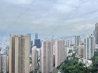 Mid Levels Central - Tregunter Tower 3 19