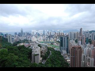 Stubbs Road - Evergreen Villa 04