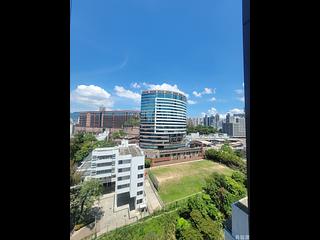 Mong Kok - Elize Park 12
