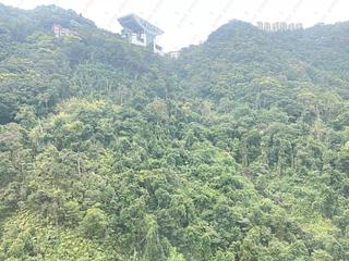 中半山 - 腾皇居II 08