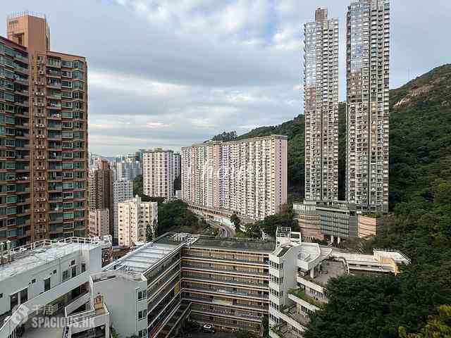 大坑 - 龙园 01