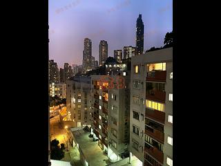 跑马地 - 金辉园 11
