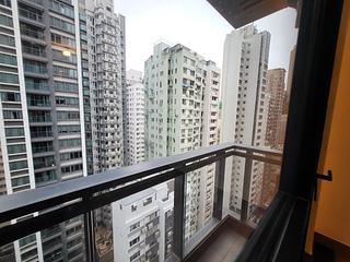Happy Valley - The Aster (Resiglow) 04