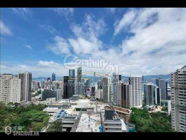 中半山 - 21 Borrett Road 1期 01