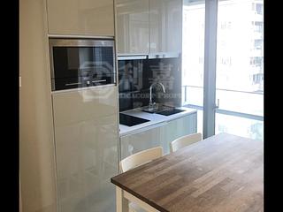 North Point - Lime Habitat 05
