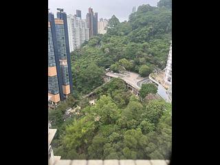Tai Hang - Dragon Centre 12