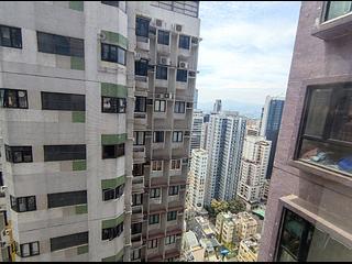 Poho - Rich View Terrace 12