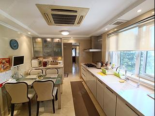 Mid Levels Central - Garden Terrace 06
