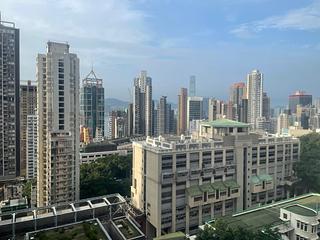 西半山 - 柏苑 10