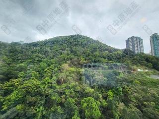 中半山 - 波老道21號 1號及2號 16