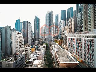 Poho - Rich View Terrace 07