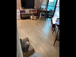 坑口 - 南豐廣場 03