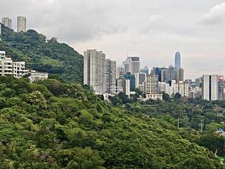 Happy Valley - One Jardine's Lookout 04