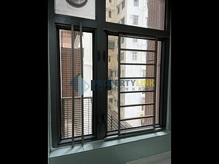 Noho - Hollywood Terrace 06