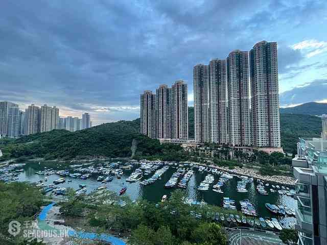 Tseung Kwan O - Savannah 01
