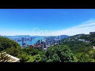 山頂 - The Mount Austin 06