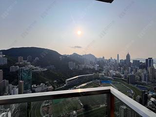 Happy Valley - Broadwood Twelve 13