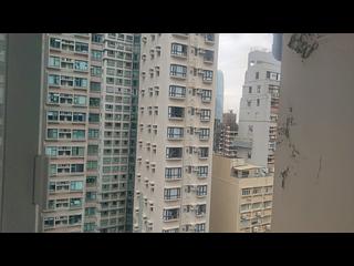中半山 - 賓士花園 07