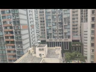 中半山 - 賓士花園 10