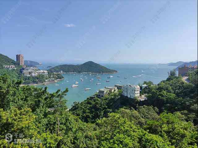 深水湾 - 深水湾道39号 01