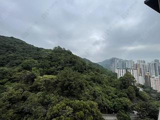 天后 - 柏傲山 02