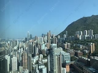 Shek Tong Tsui - The Belcher's 08