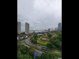 Tai Kok Tsui - Harbour Green 17