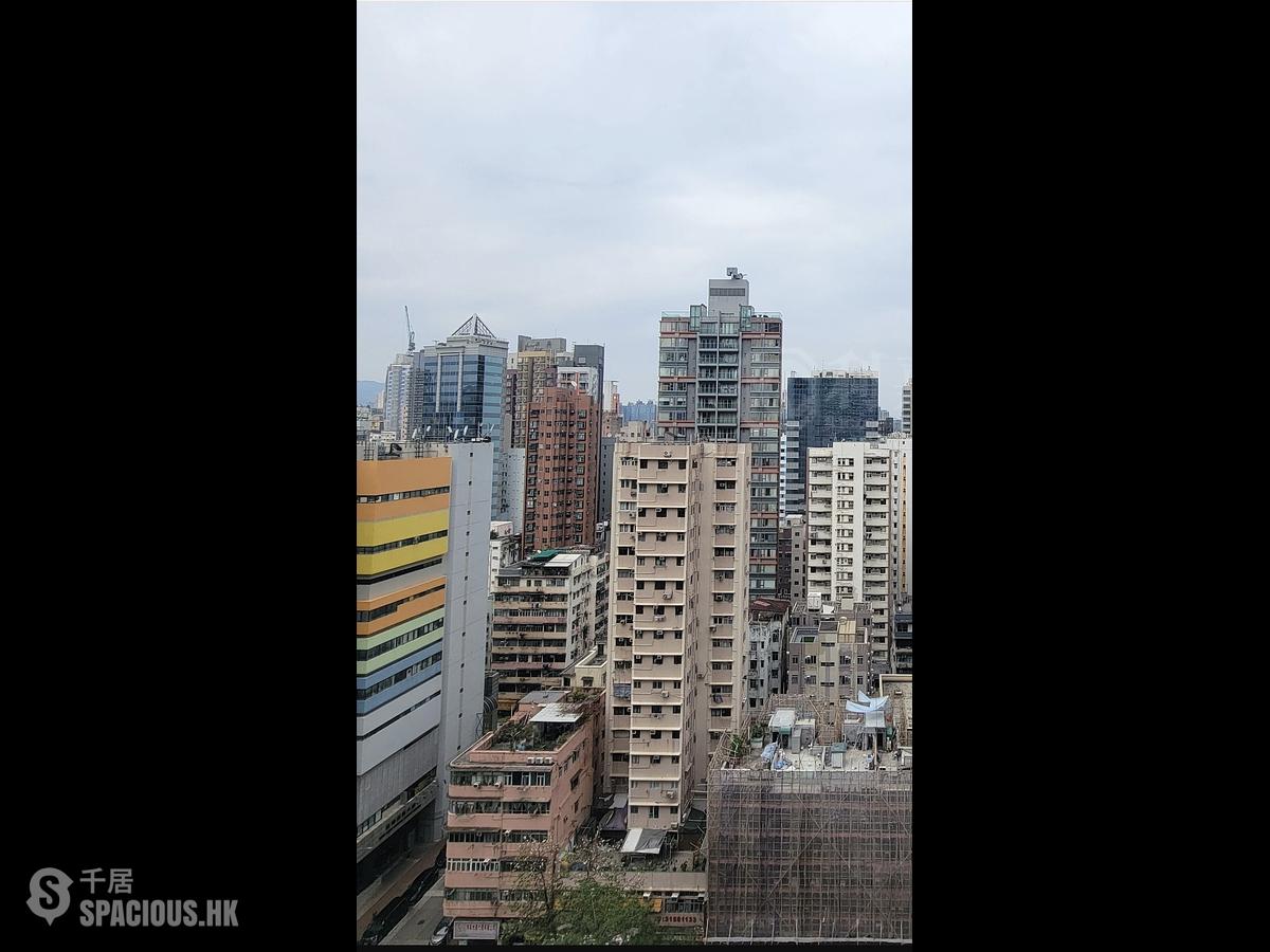 佐敦 - Grand Austin 2A座 01
