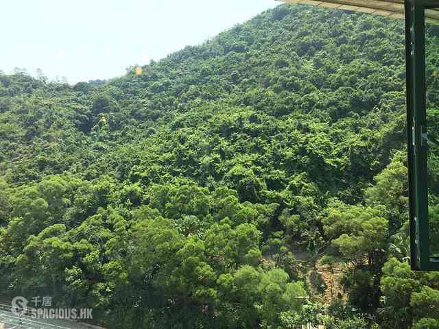 宝马山 - 赛西湖大厦 01