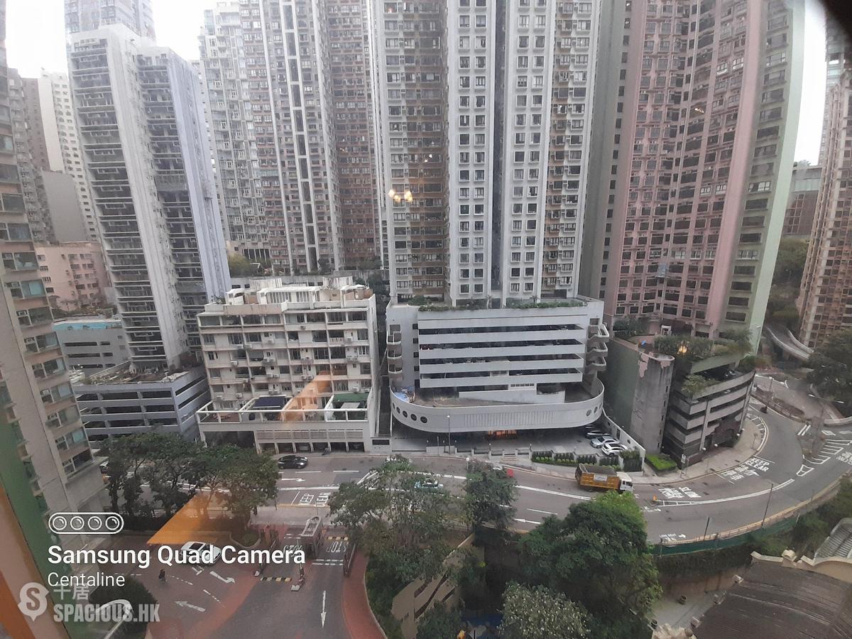 Mid Levels Central - Robinson Place 01