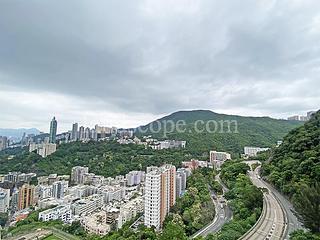 Stubbs Road - Nicholson Tower 03