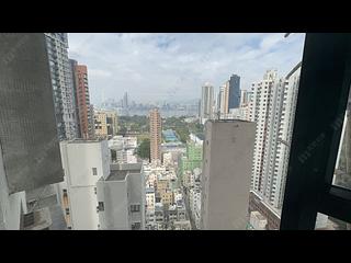 Causeway Bay - Illumination Terrace 07