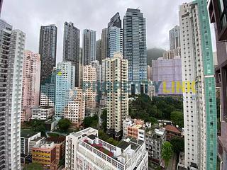 Poho - Rich View Terrace 13