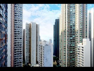 中半山 - The Icon 18