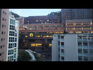石塘咀 - 尚岭 05