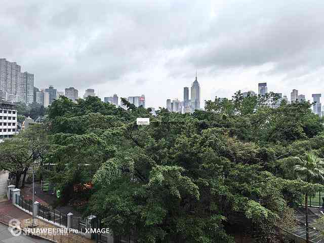 Happy Valley - Hooley Mansion 03